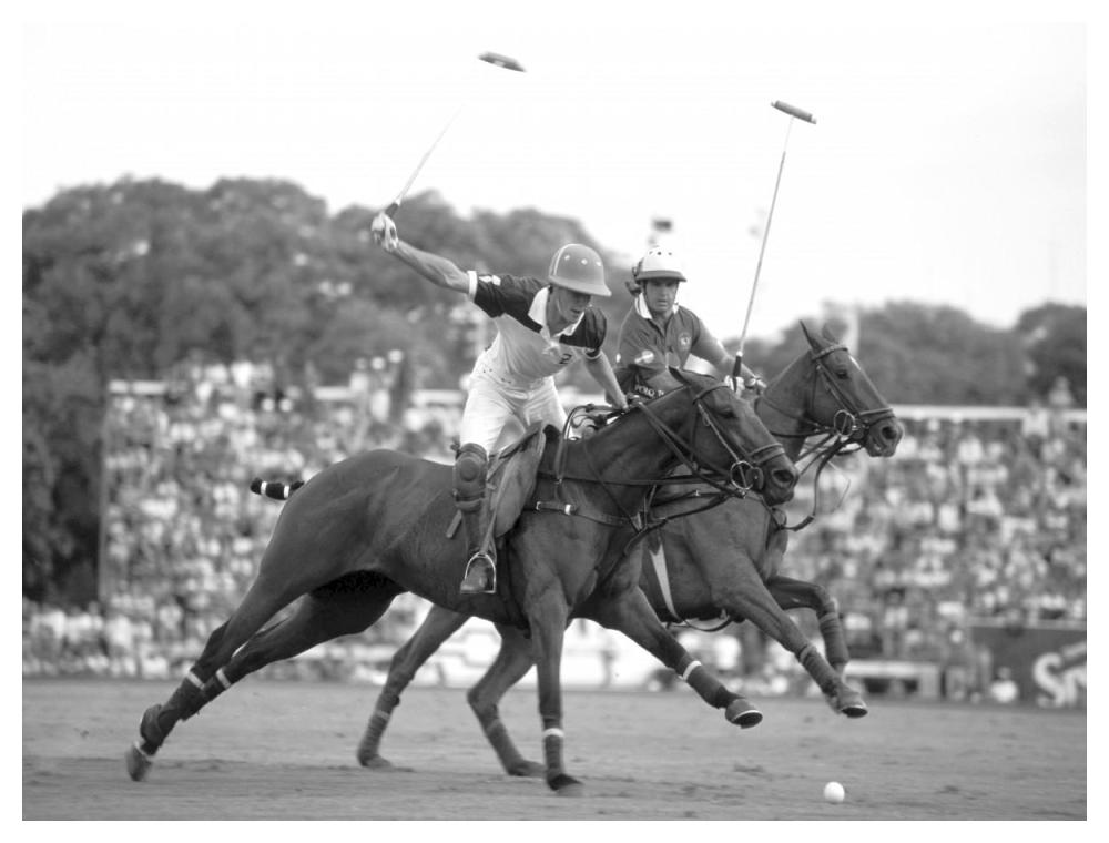 Polo players, Argentina-Paper Art-50"x38"