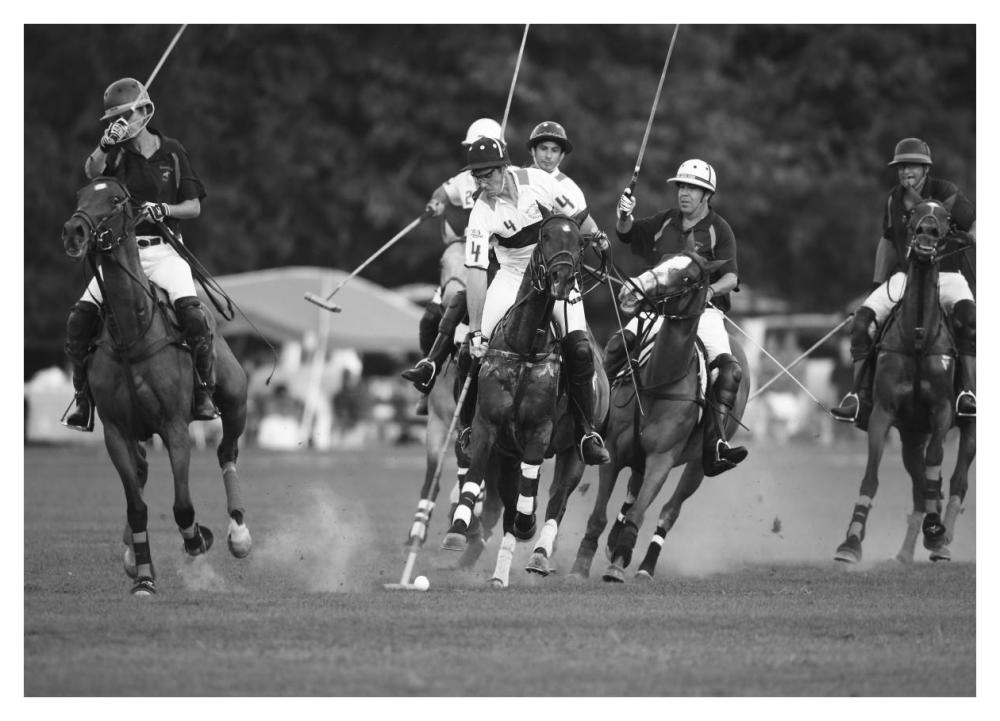 Polo players, New York-Paper Art-42"x30.4"