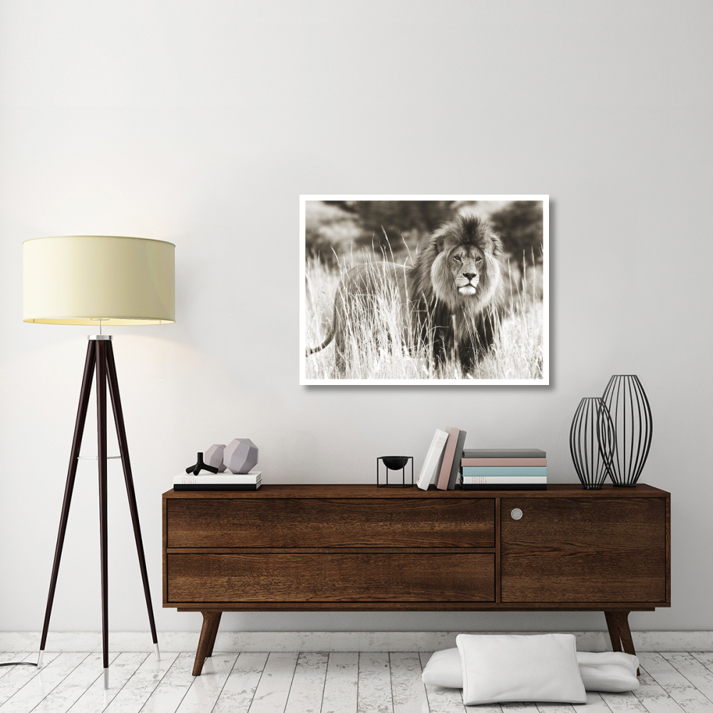 Male lion-Paper Art-42&quotx32"