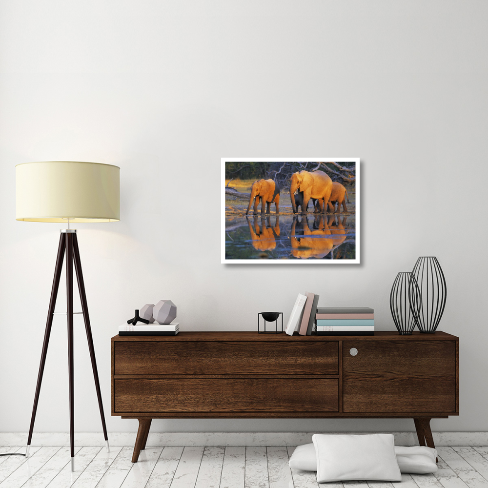 African elephants, Okavango, Botswana-Paper Art-34&quotx26"