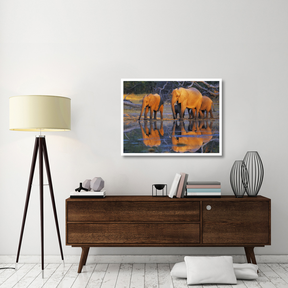 African elephants, Okavango, Botswana-Paper Art-42&quotx32"