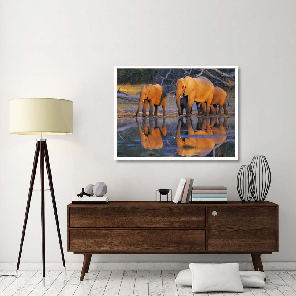 African elephants, Okavango, Botswana-Paper Art-50&quotx38"