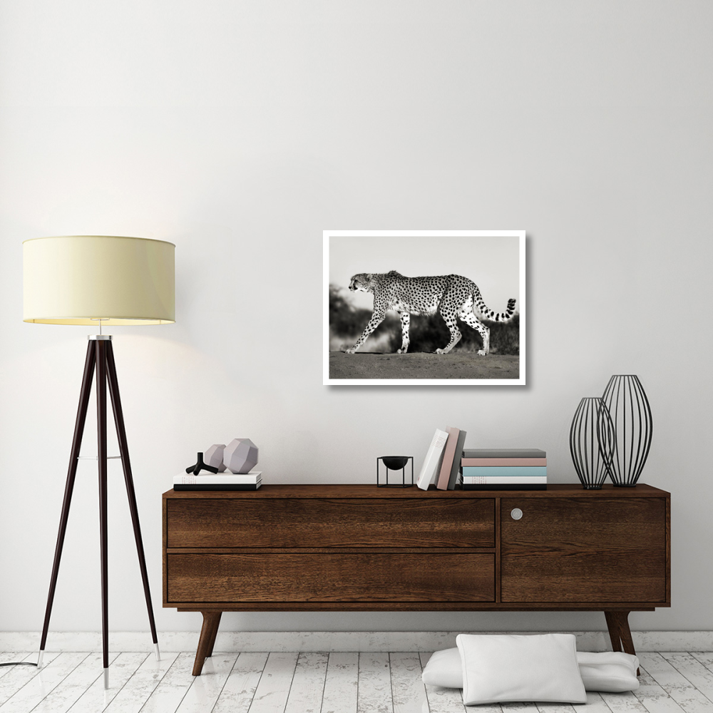 Cheetah, Namibia, Africa-Paper Art-34&quotx26"