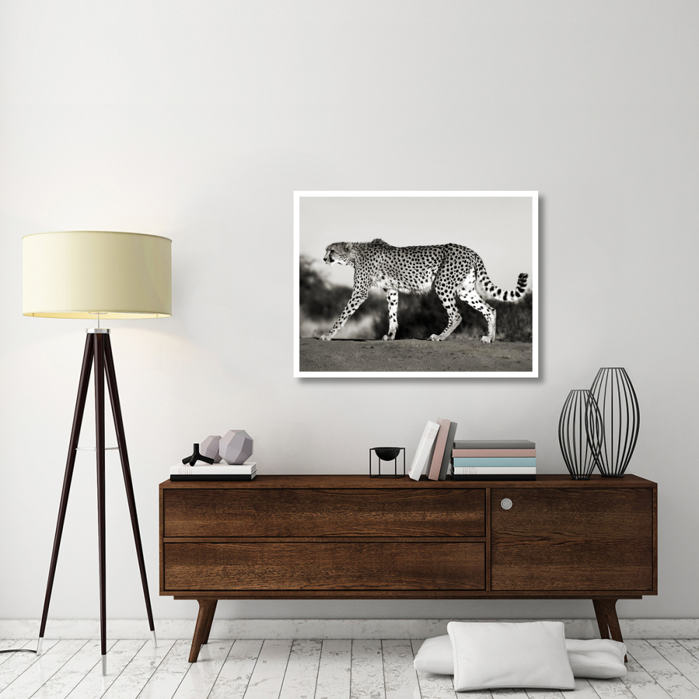 Cheetah, Namibia, Africa-Paper Art-42&quotx32"
