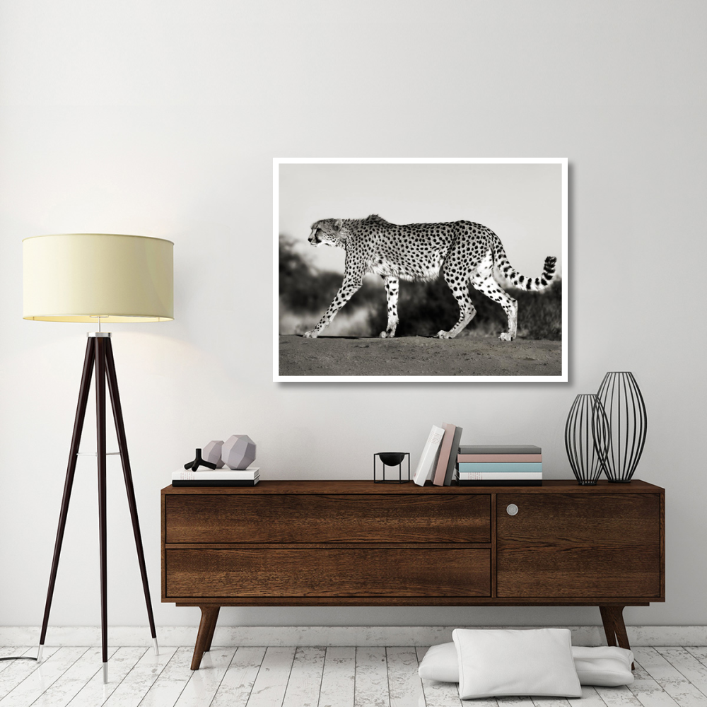 Cheetah, Namibia, Africa-Paper Art-50&quotx38"