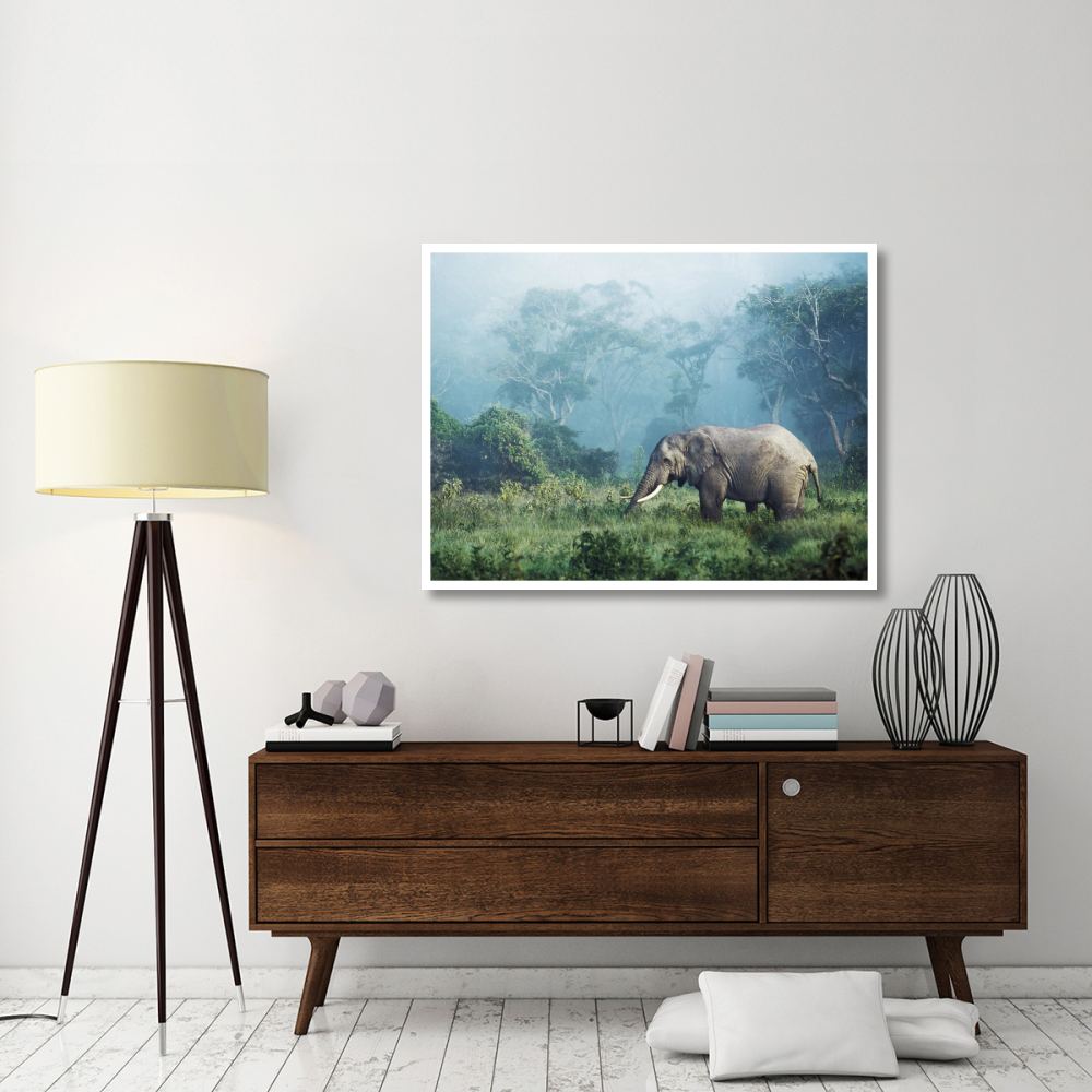 African elephant, Ngorongoro Crater, Tanzania-Paper Art-50&quotx38"