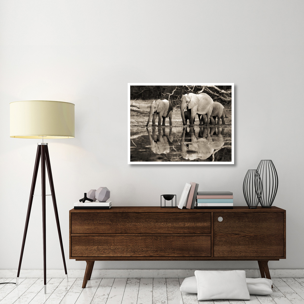 African elephants, Okavango, Botswana-Paper Art-42&quotx32"