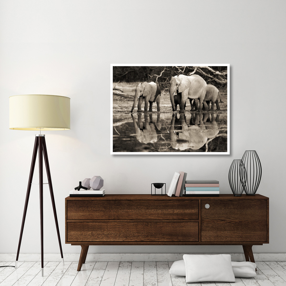 African elephants, Okavango, Botswana-Paper Art-50&quotx38"