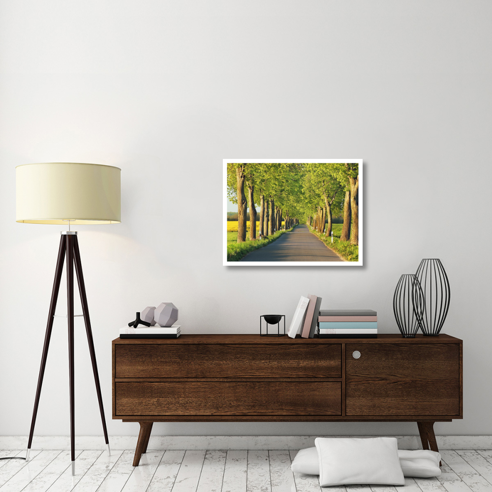 Lime tree alley, Mecklenburg Lake District, Germany-Paper Art-34&quotx26"