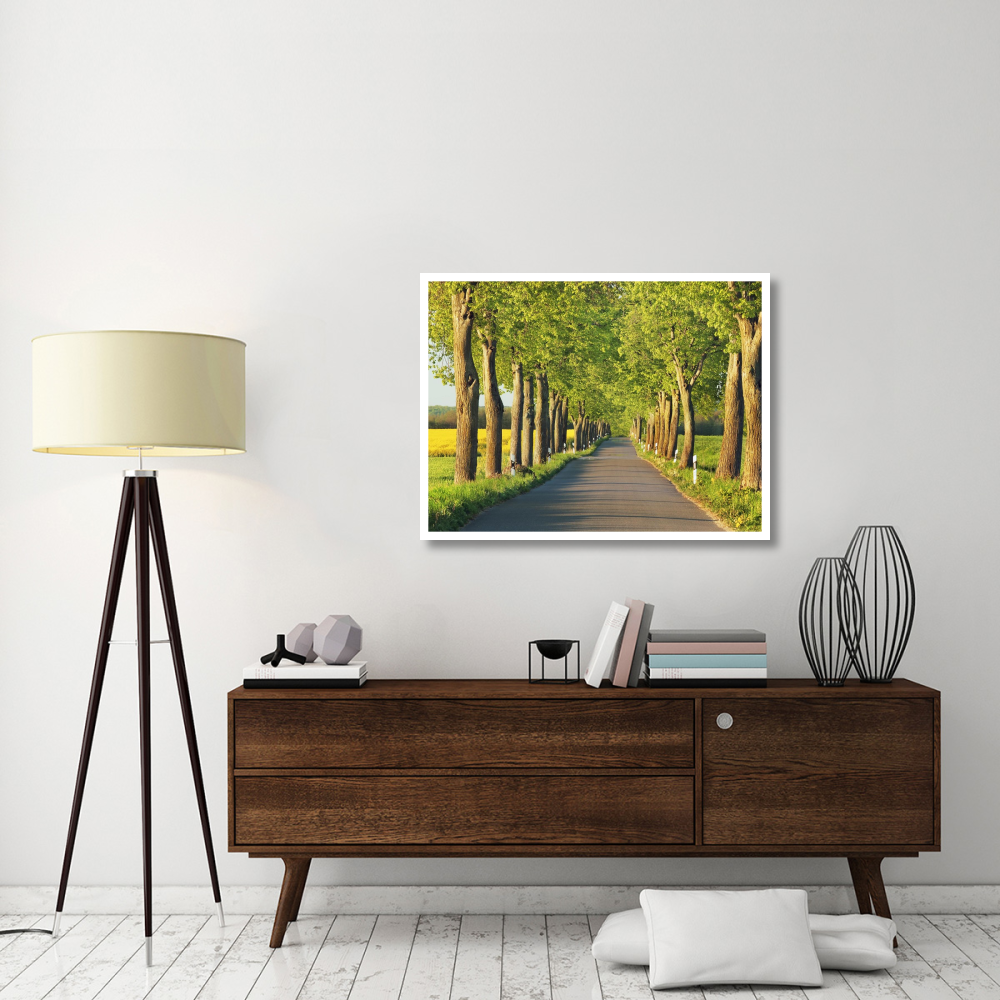 Lime tree alley, Mecklenburg Lake District, Germany-Paper Art-42&quotx32"