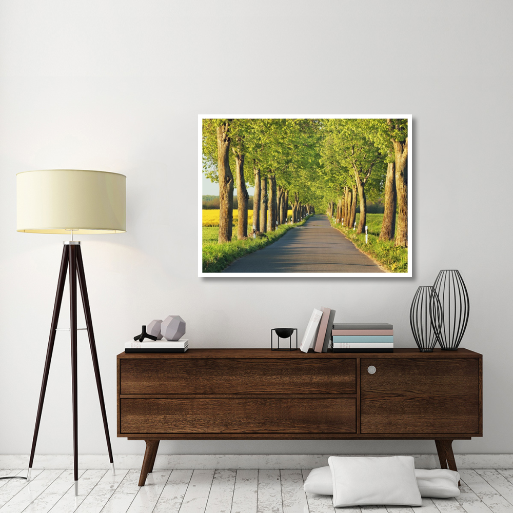 Lime tree alley, Mecklenburg Lake District, Germany-Paper Art-50&quotx38"