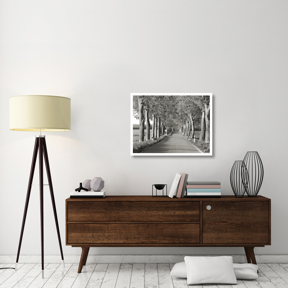 Lime tree alley, Mecklenburg Lake District, Germany-Paper Art-34&quotx26"