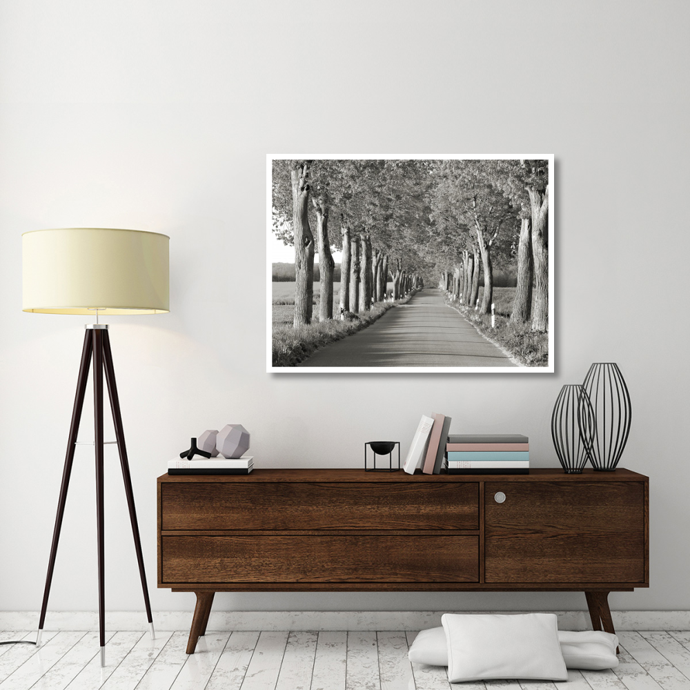 Lime tree alley, Mecklenburg Lake District, Germany-Paper Art-50&quotx38"