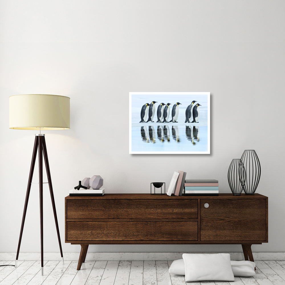 Emperor penguin group, Antarctica-Paper Art-34&quotx26"