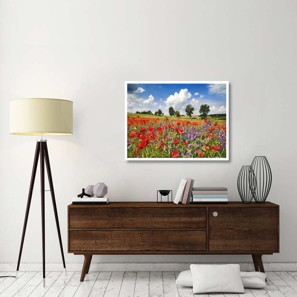 Poppies and vicias in meadow, Mecklenburg Lake District, Germany-Paper Art-42&quotx32"
