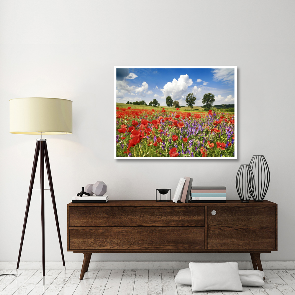Poppies and vicias in meadow, Mecklenburg Lake District, Germany-Paper Art-50&quotx38"