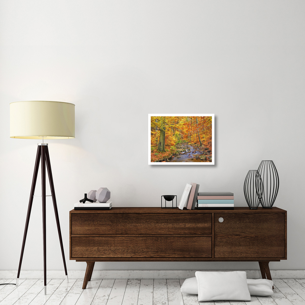 Beech forest in autumn, Ilse Valley, Germany-Paper Art-26&quotx20"