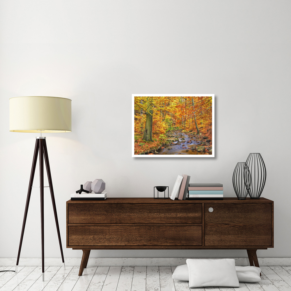 Beech forest in autumn, Ilse Valley, Germany-Paper Art-34&quotx26"