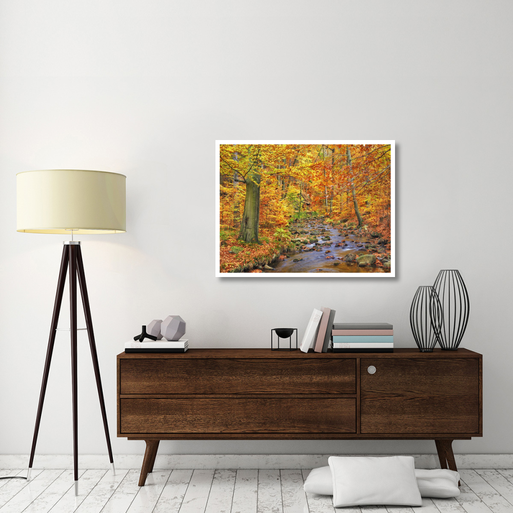 Beech forest in autumn, Ilse Valley, Germany-Paper Art-42&quotx32"
