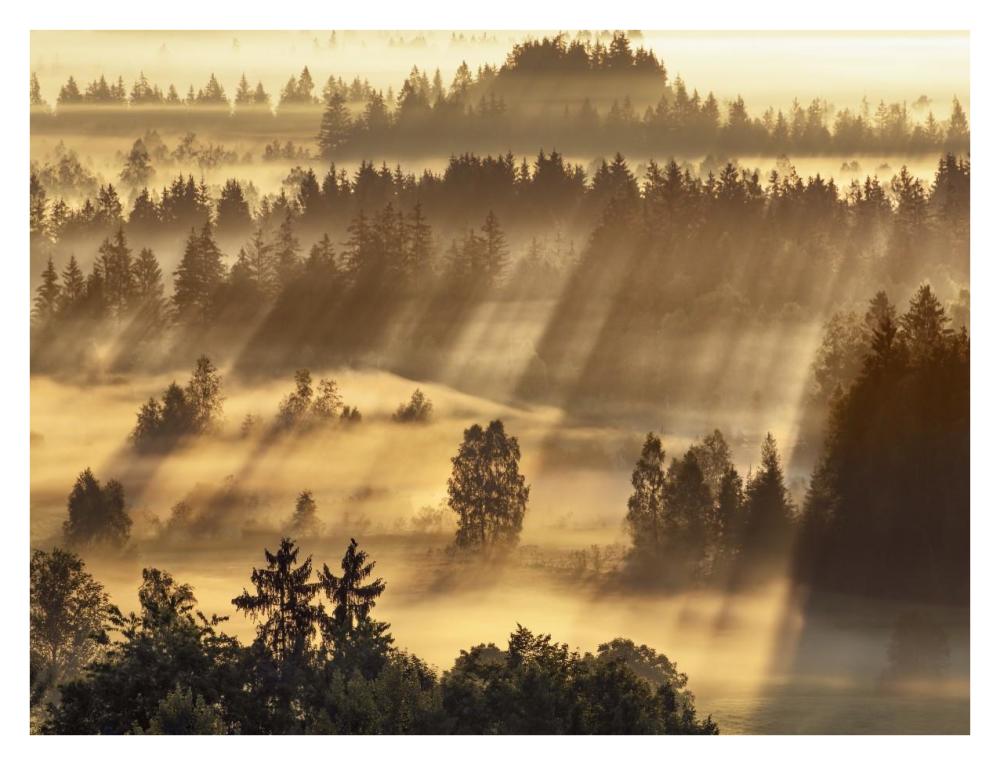 Fog impression at Sindelbachfilz, Bavaria, Germany-Paper Art-34"x26"