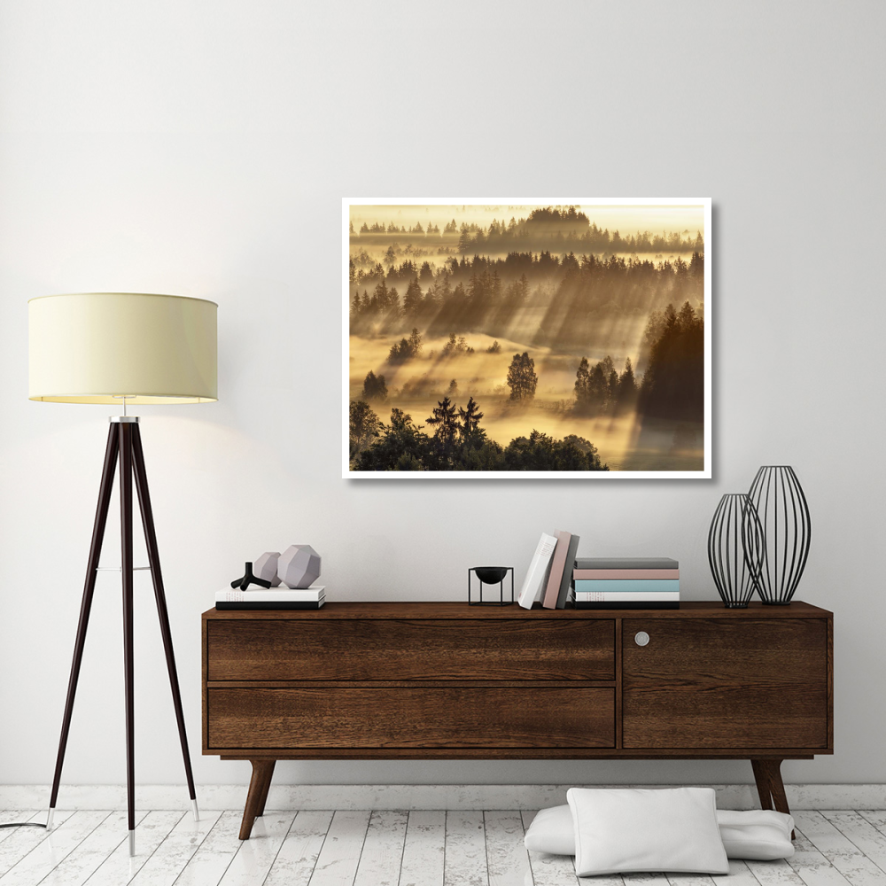 Fog impression at Sindelbachfilz, Bavaria, Germany-Paper Art-50&quotx38"