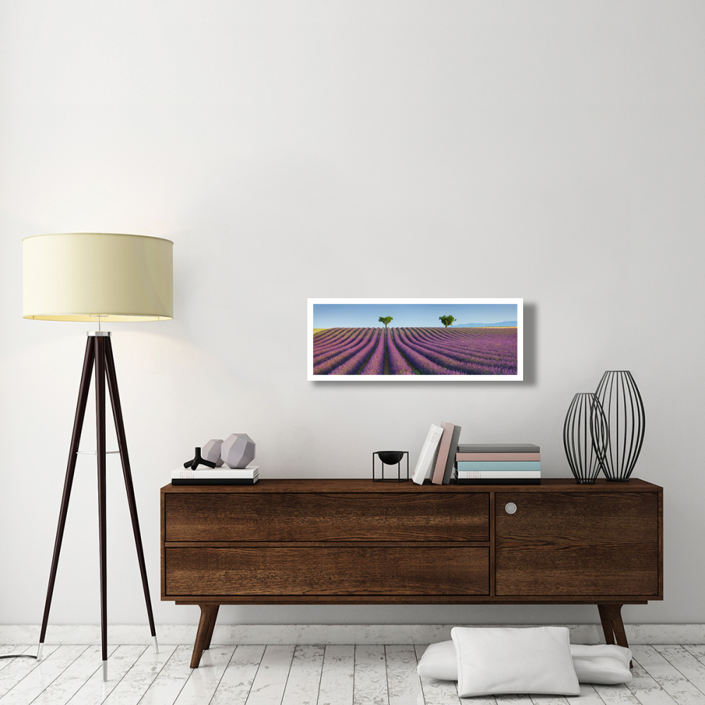 Lavender field, Provence, France-Paper Art-38&quotx14"