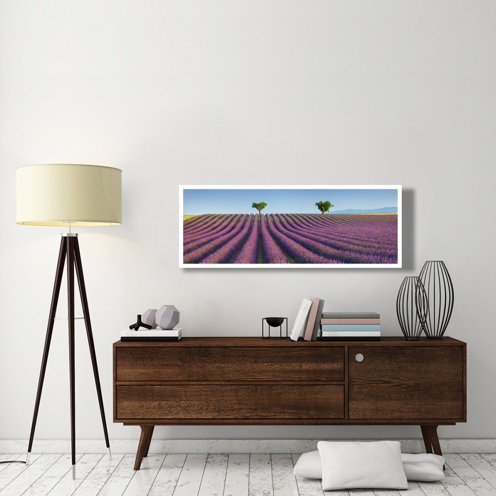 Lavender field, Provence, France-Paper Art-56&quotx20"