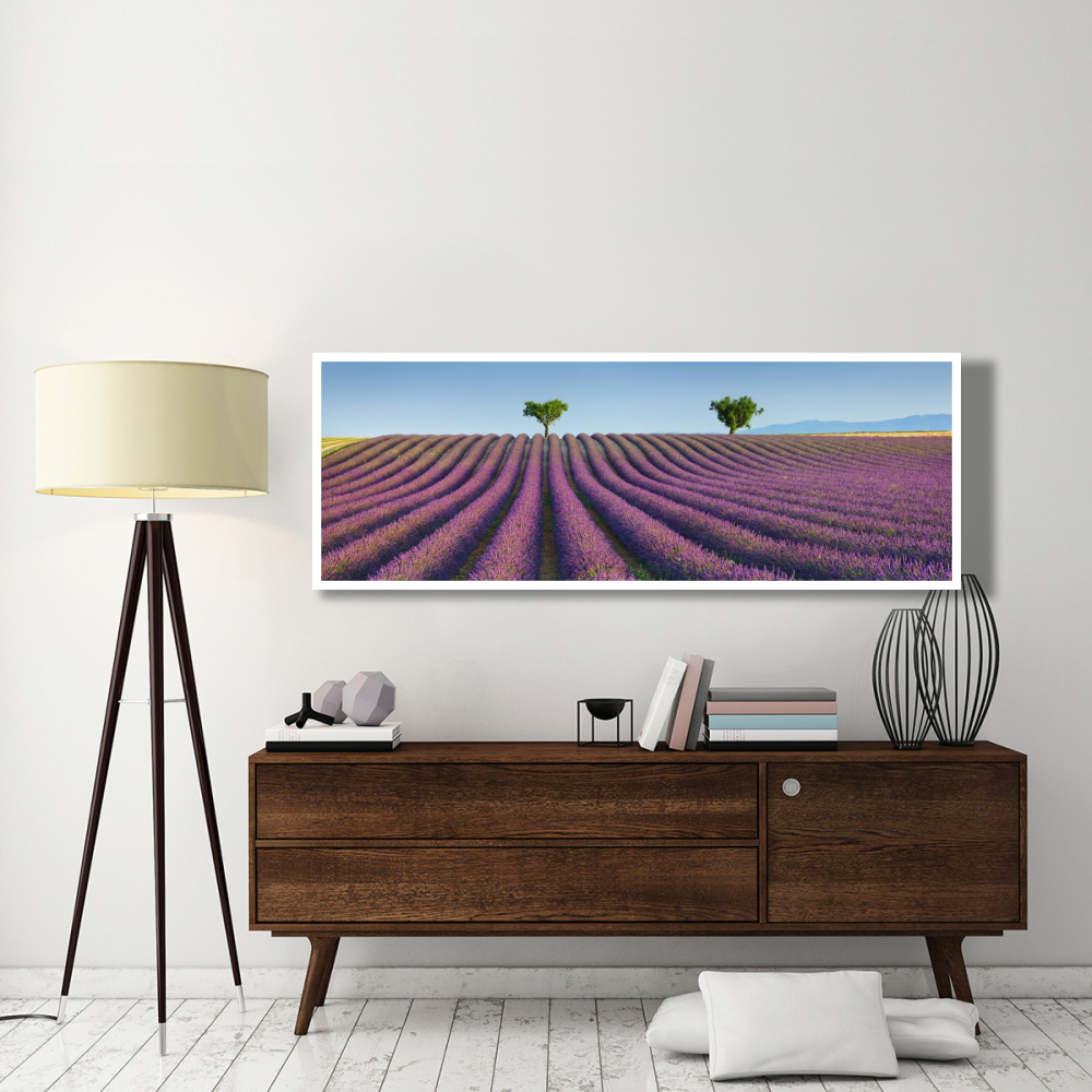 Lavender field, Provence, France-Paper Art-74&quotx26"