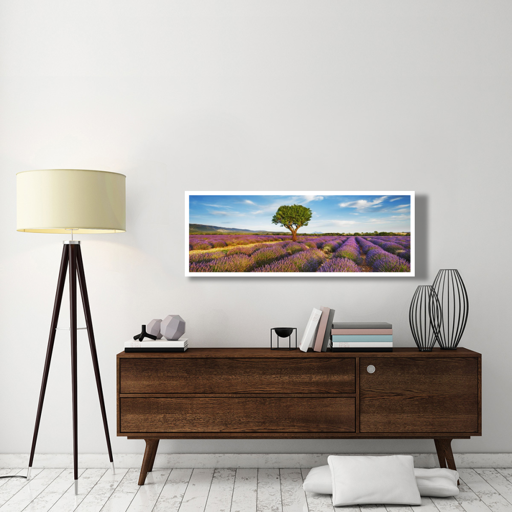 Lavender field and almond tree, Provence, France-Paper Art-56&quotx20"