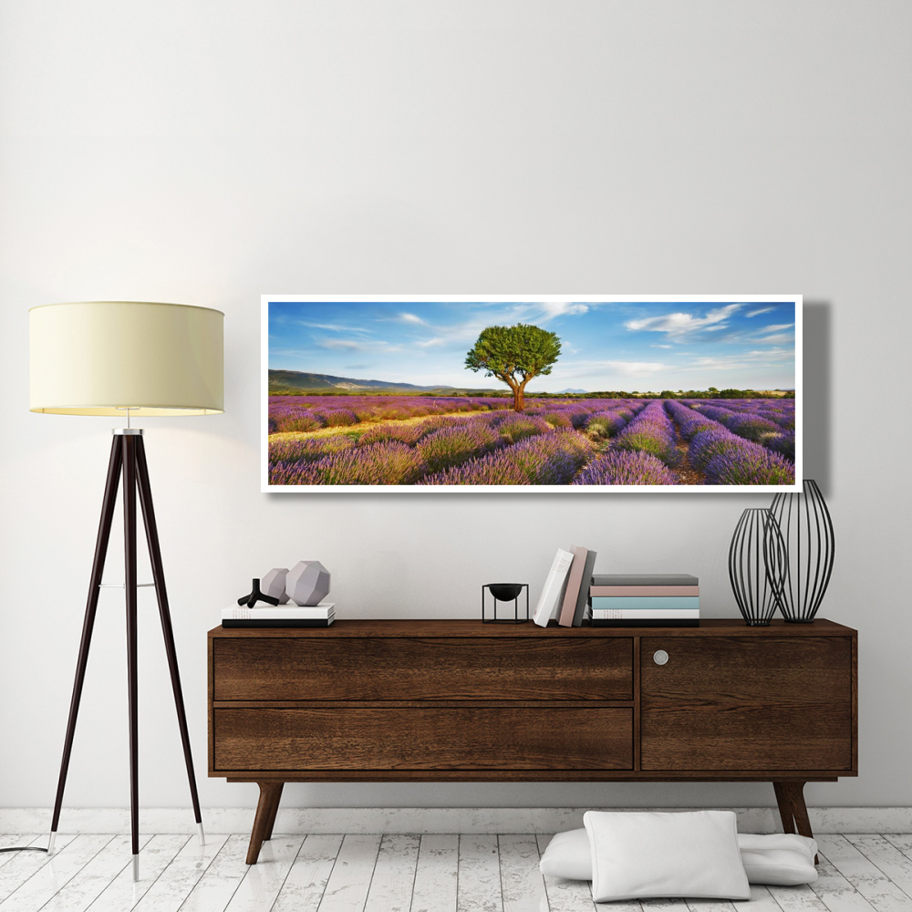 Lavender field and almond tree, Provence, France-Paper Art-74&quotx26"