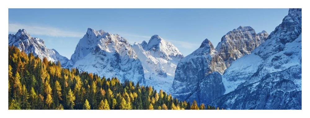 Larch forest and Cima bel Pra, Italy-Paper Art-38"x14"