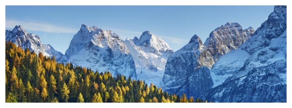 Larch forest and Cima bel Pra, Italy-Paper Art-56"x20"