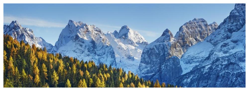 Larch forest and Cima bel Pra, Italy-Paper Art-74"x26"