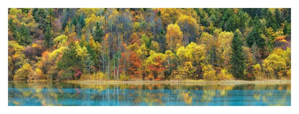 Lake and forest in autumn, China-Paper Art-38"x14"