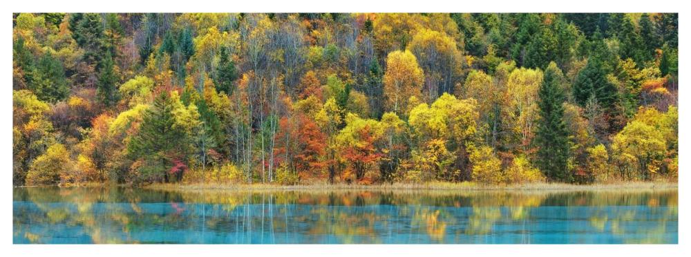 Lake and forest in autumn, China-Paper Art-56"x20"