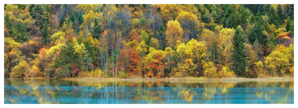 Lake and forest in autumn, China-Paper Art-74"x26"