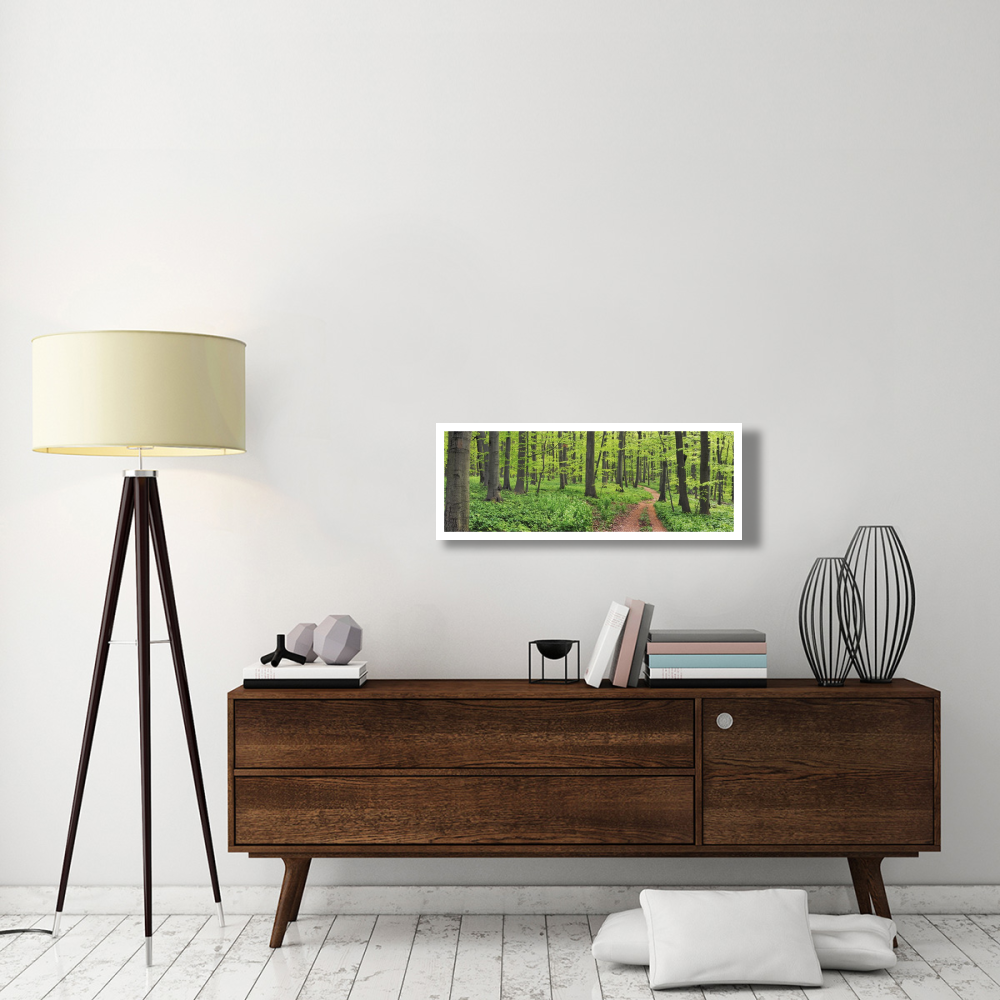 Beech forest, Germany-Paper Art-38&quotx14"