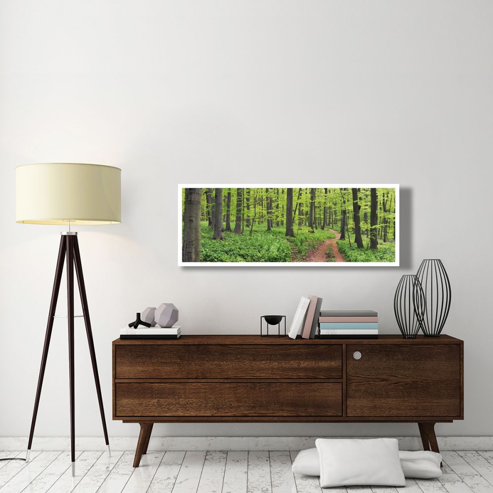 Beech forest, Germany-Paper Art-56&quotx20"