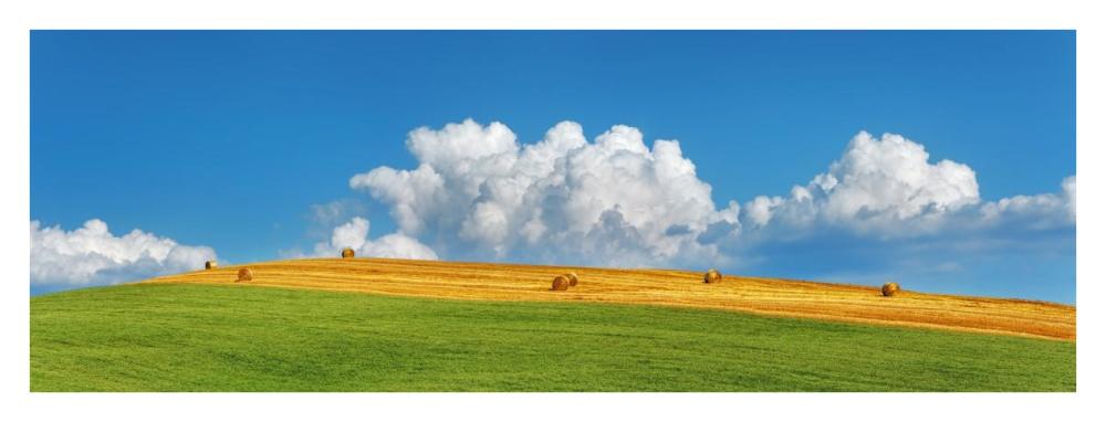 Corn field harvested, Tuscany, Italy-Paper Art-38"x14"