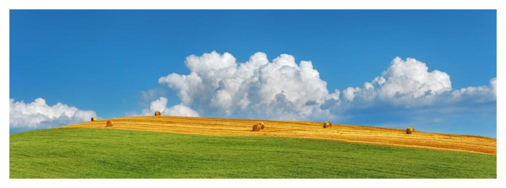 Corn field harvested, Tuscany, Italy-Paper Art-56"x20"