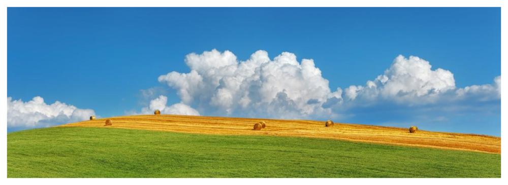 Corn field harvested, Tuscany, Italy-Paper Art-74"x26"