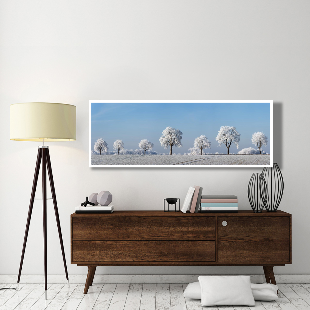 Alley tree with frost, Bavaria, Germany-Paper Art-74&quotx26"