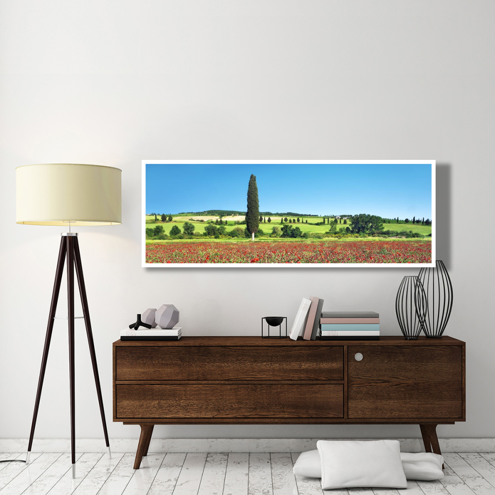 Cypress in poppy field, Tuscany, Italy-Paper Art-74&quotx26"