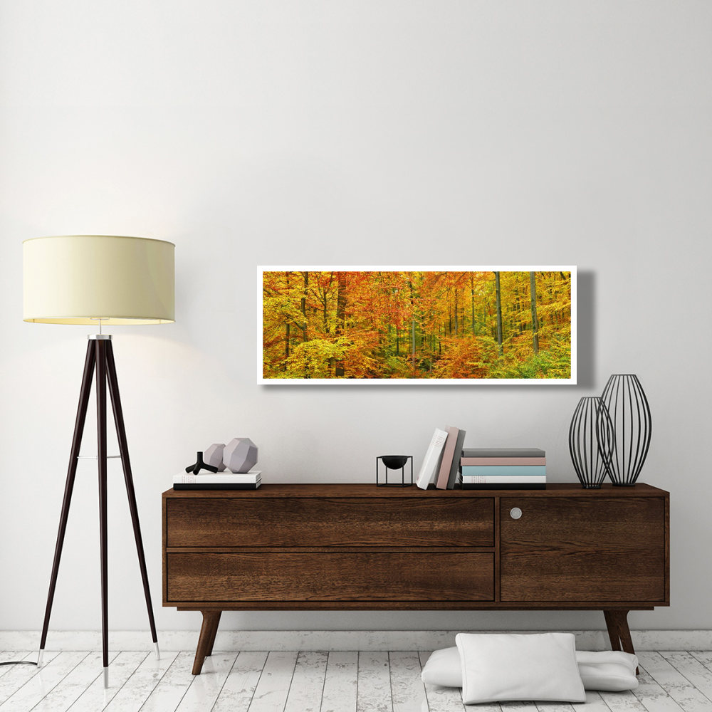 Beech forest in autumn, Kassel, Germany-Paper Art-56&quotx20"