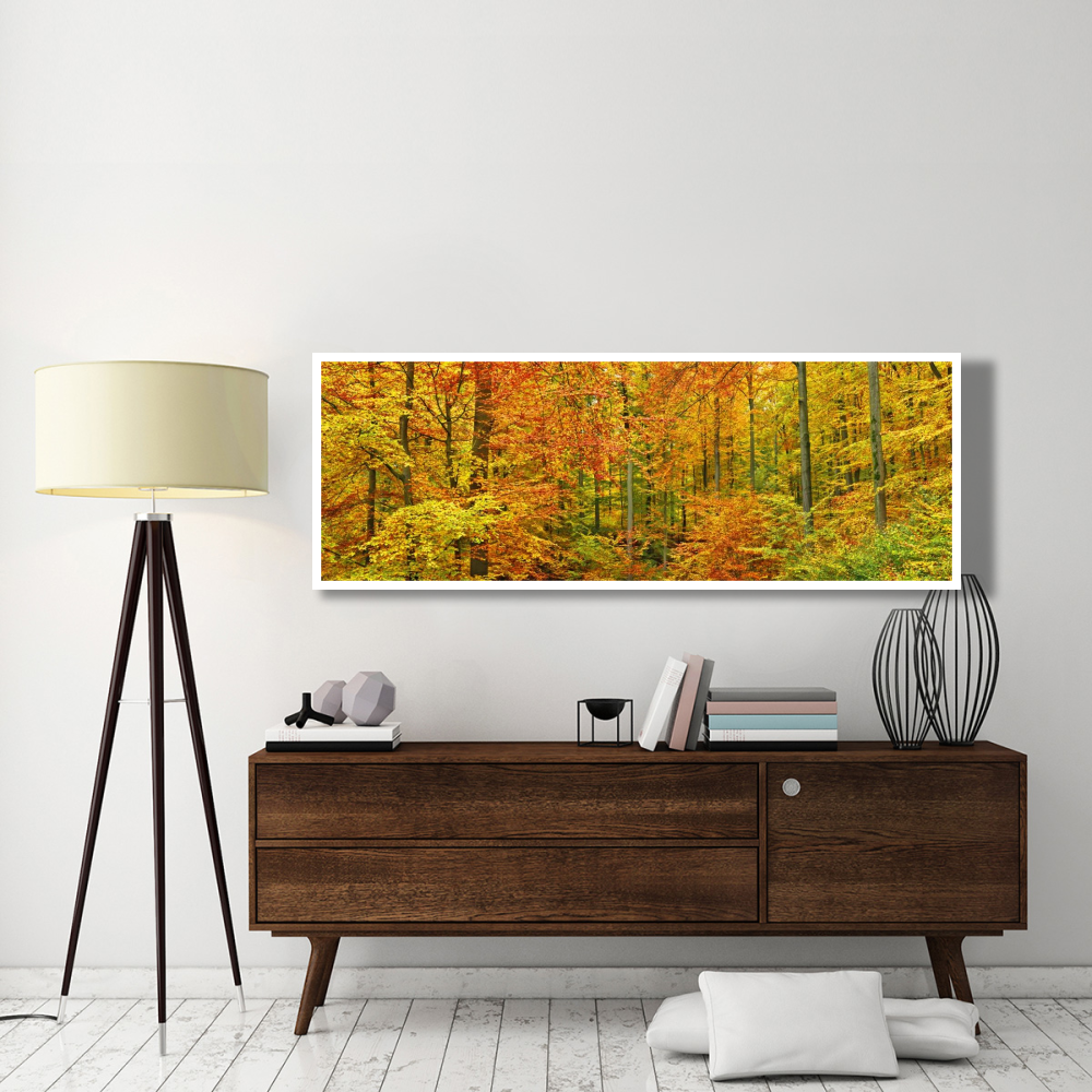 Beech forest in autumn, Kassel, Germany-Paper Art-74&quotx26"