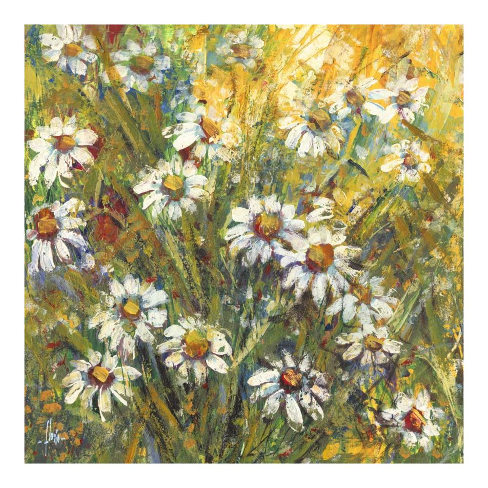 Margherite nel sole-Paper Art-20"x20"