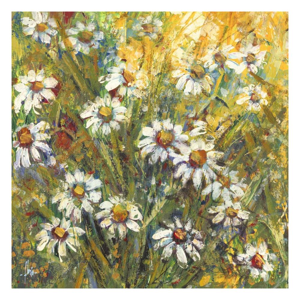 Margherite nel sole-Paper Art-26"x26"