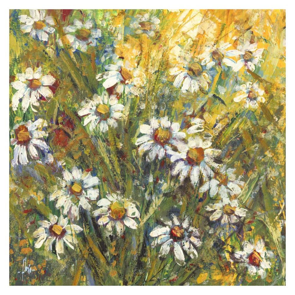 Margherite nel sole-Paper Art-32"x32"