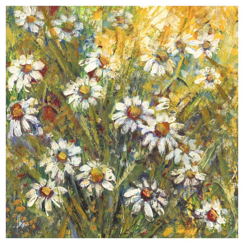 Margherite nel sole-Paper Art-42"x42"