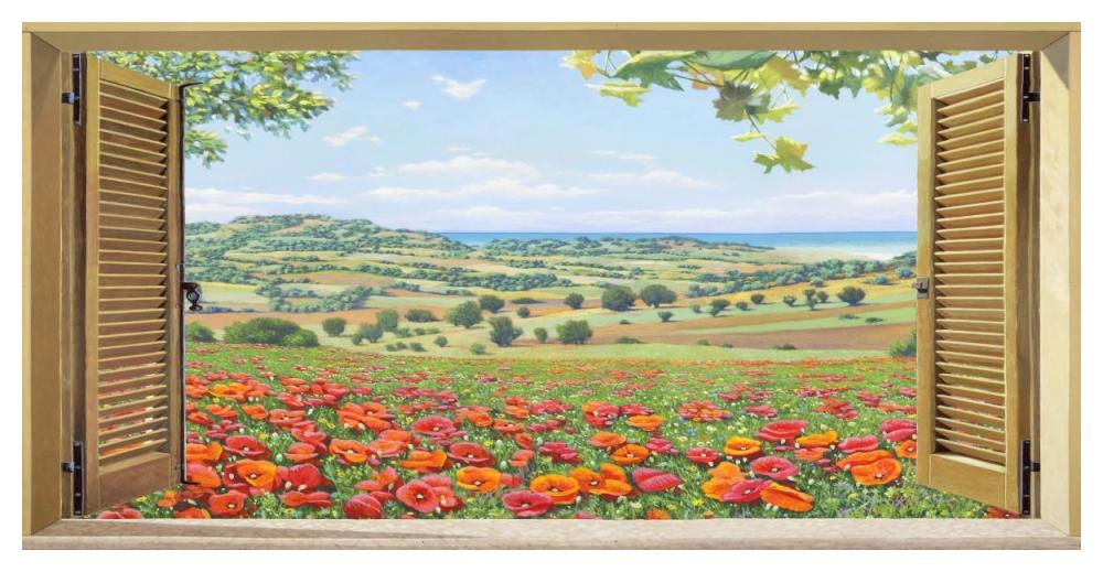 Finestra su campo di papaveri-Paper Art-50"x26"
